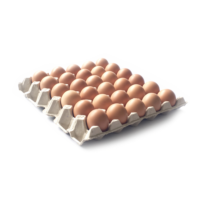 Fresh-Eggs-30pcs 第三方供應商