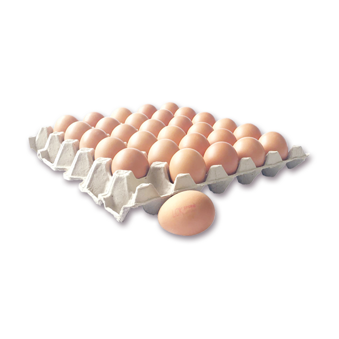 NN-Fresh-Eggs 產品